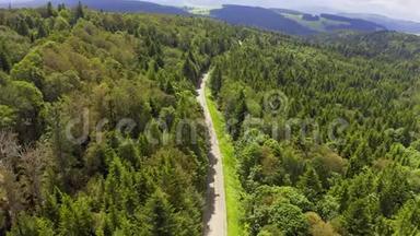 空中景色飞越两条车道的森林道路，<strong>汽车</strong>移动的绿色树木的树林生长两侧。 <strong>汽车行驶</strong>
